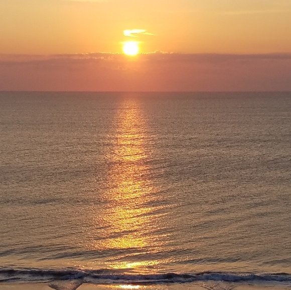 Meet your Posher, Wanda - Picture 1 of 1